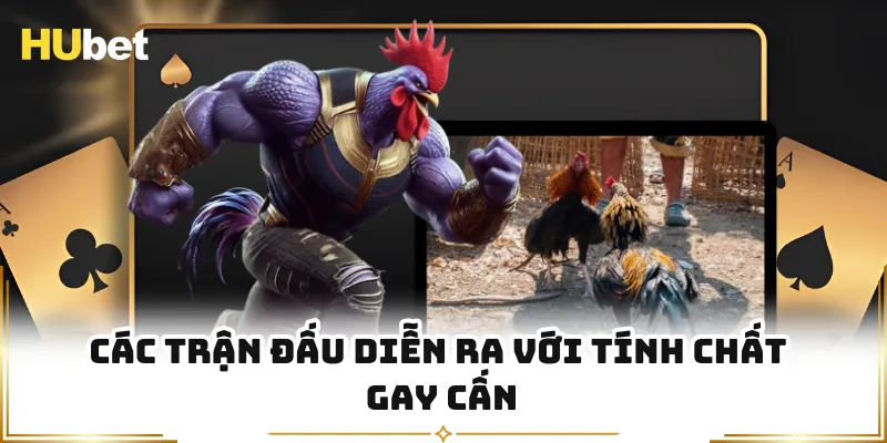 Các trận đấu diễn ra với tính chất gay cấn