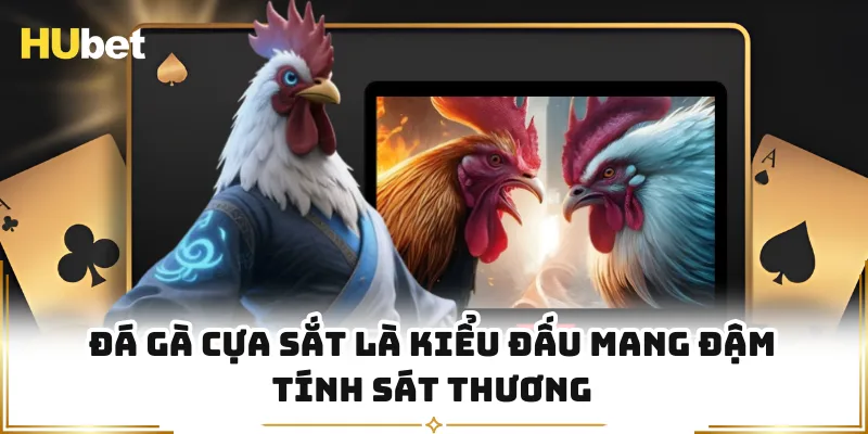 Đá gà cựa sắt là kiểu đấu mang đậm tính sát thương