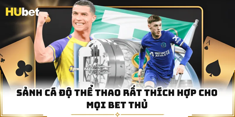 Sảnh cá độ thể thao rất thích hợp cho mọi bet thủ